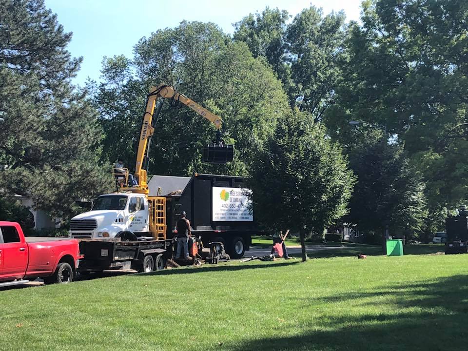 Magnolia Emergency Tree Service